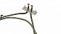 Тэн 8001785 духовки Hansa, 2000W_610ab0b6c33ca.jpeg
